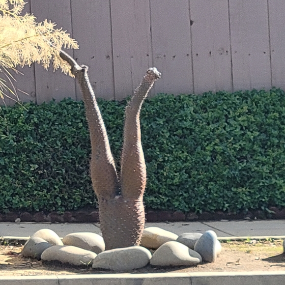 Meet your Posher, Ryon - Picture 8 of 16